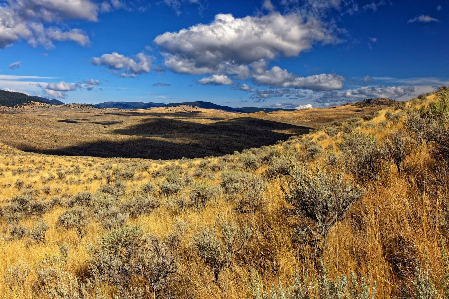 Golden grass and sagebrush hills rolling toward distant mountains