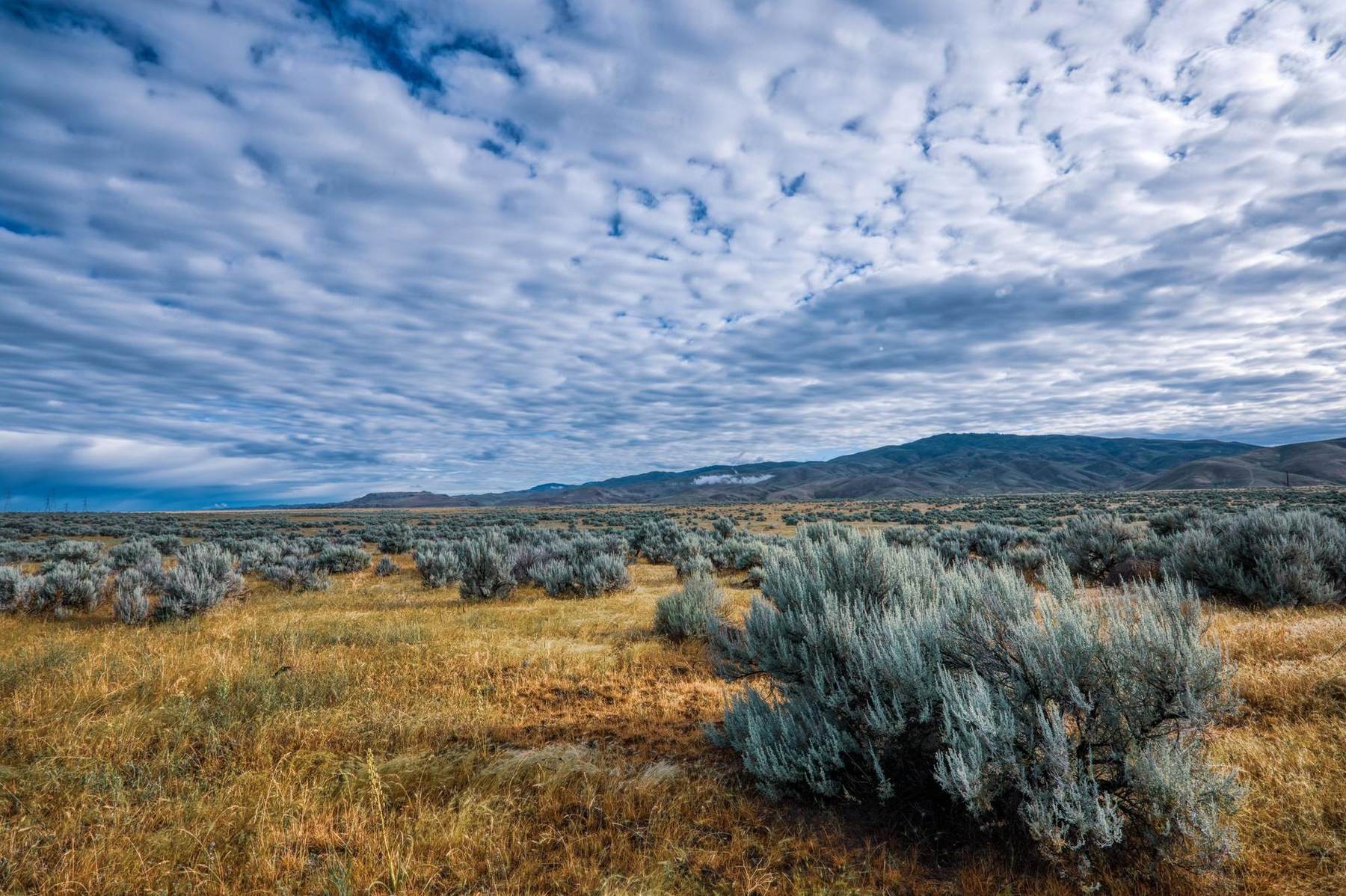 Sagebrush flats running toward distant mountains under a mackerel sky