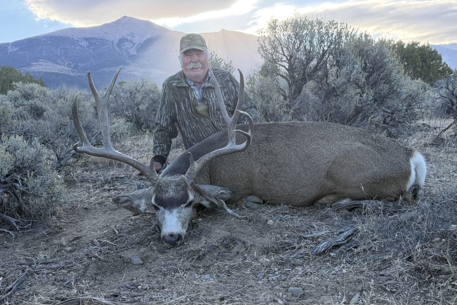 A hunter behind a harvested mule deer buck with mountains in the distance
