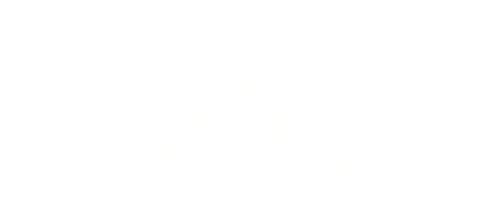 Logo Rock'n Style - Ecole de danse à Montpellier