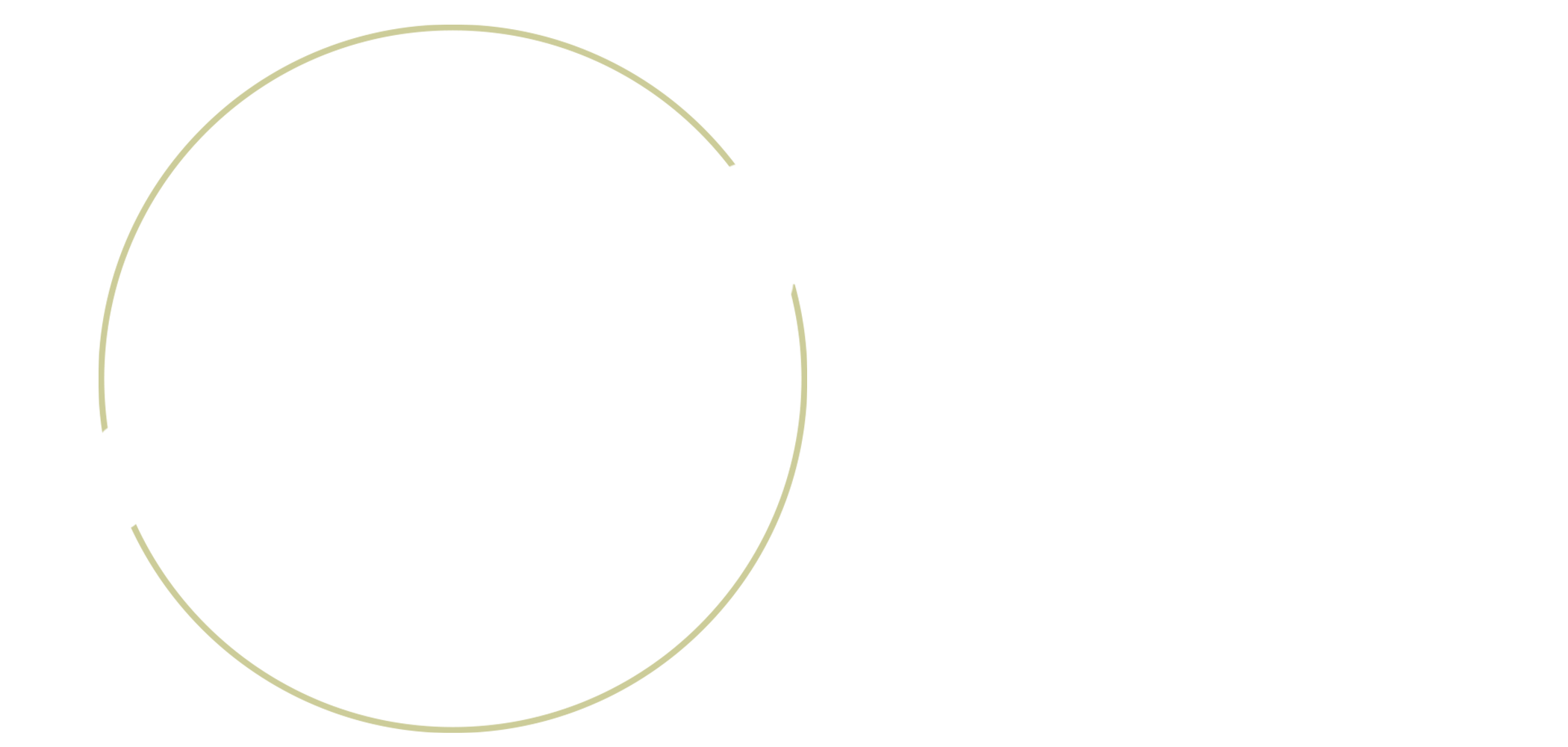 Nate Griffin LOGO