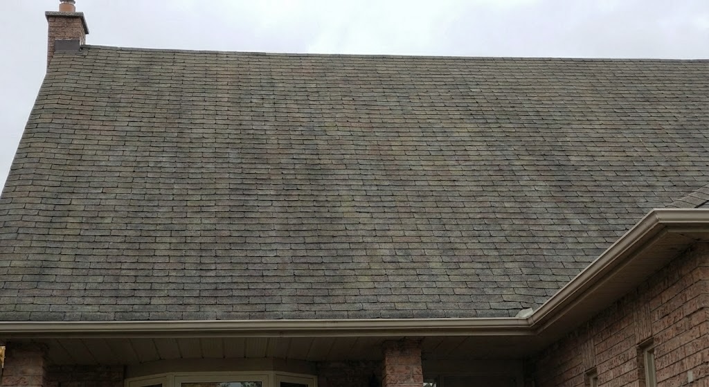 After professional cleaning by AmberMount