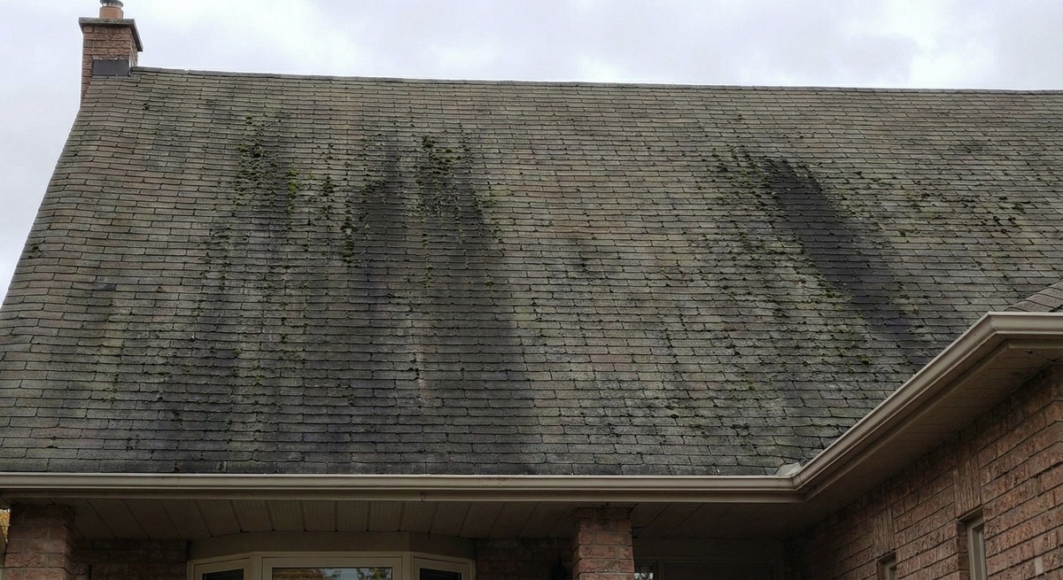 Before AmberMount cleaning service