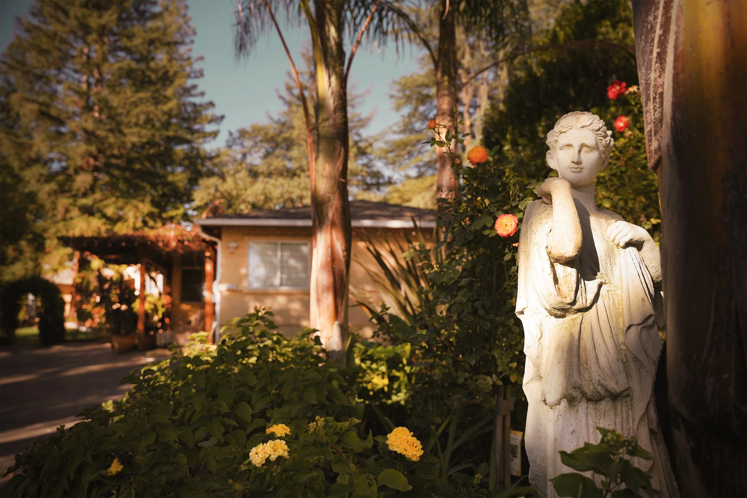 A classical statue among blooming roses in the garden, with the Villa Linda house and a pergola behind it