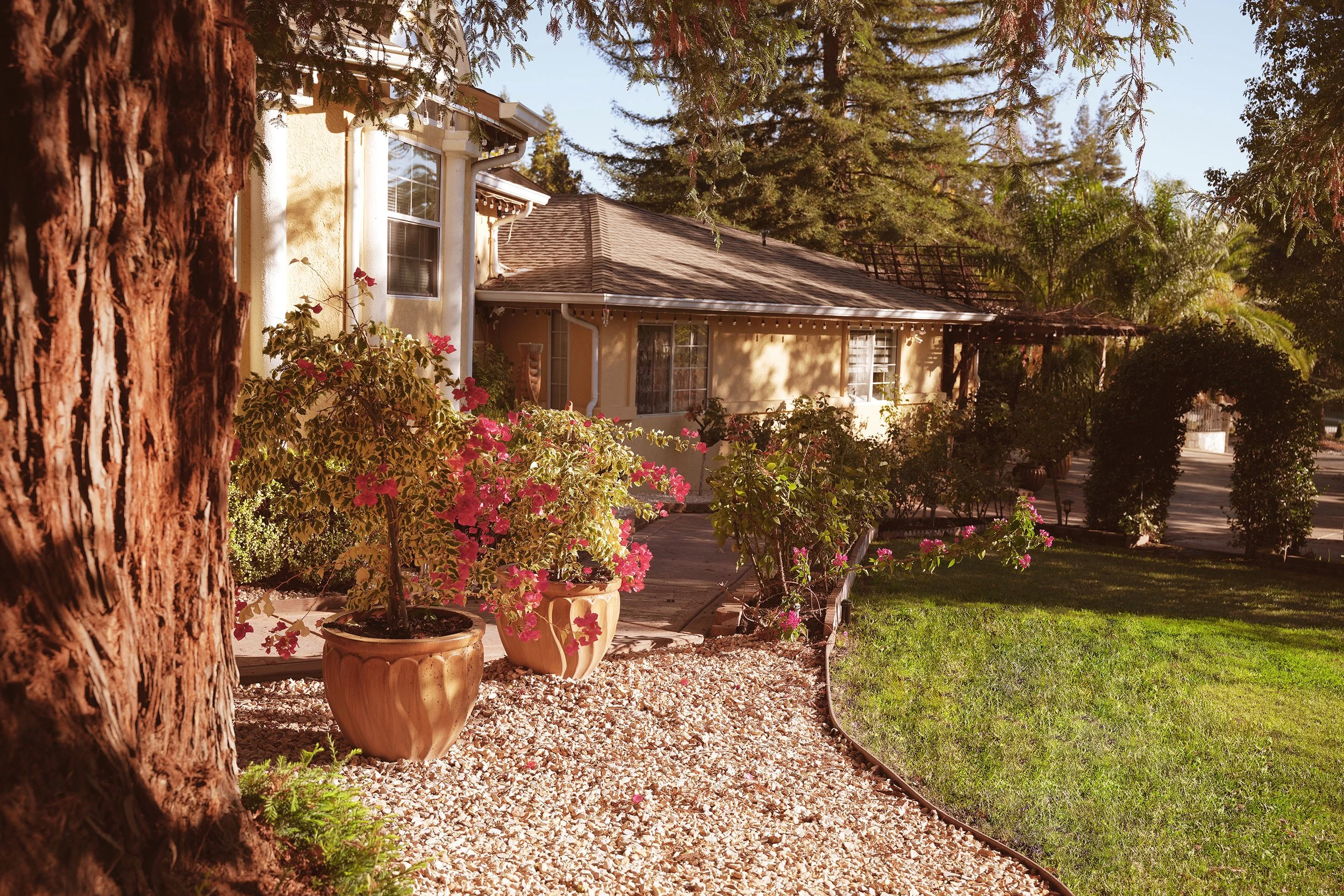 The Villa Linda Senior Care home in Carmichael, with a side path bordered by blooming bougainvillea and a green lawn