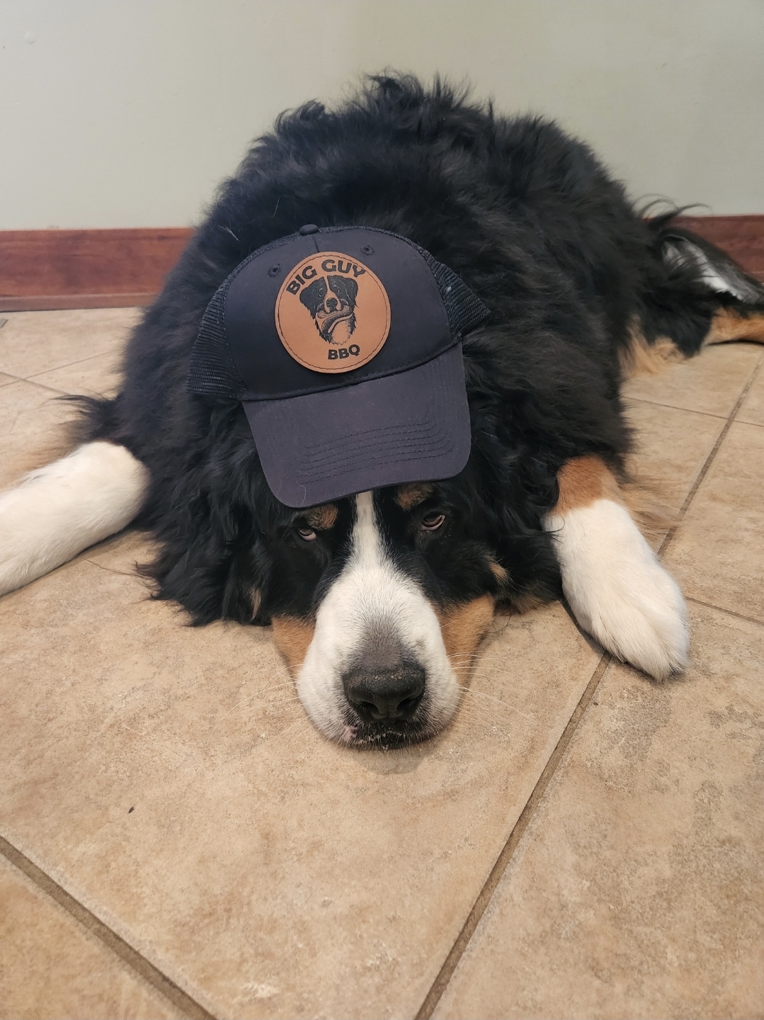 Seasoned grilled chicken pieces