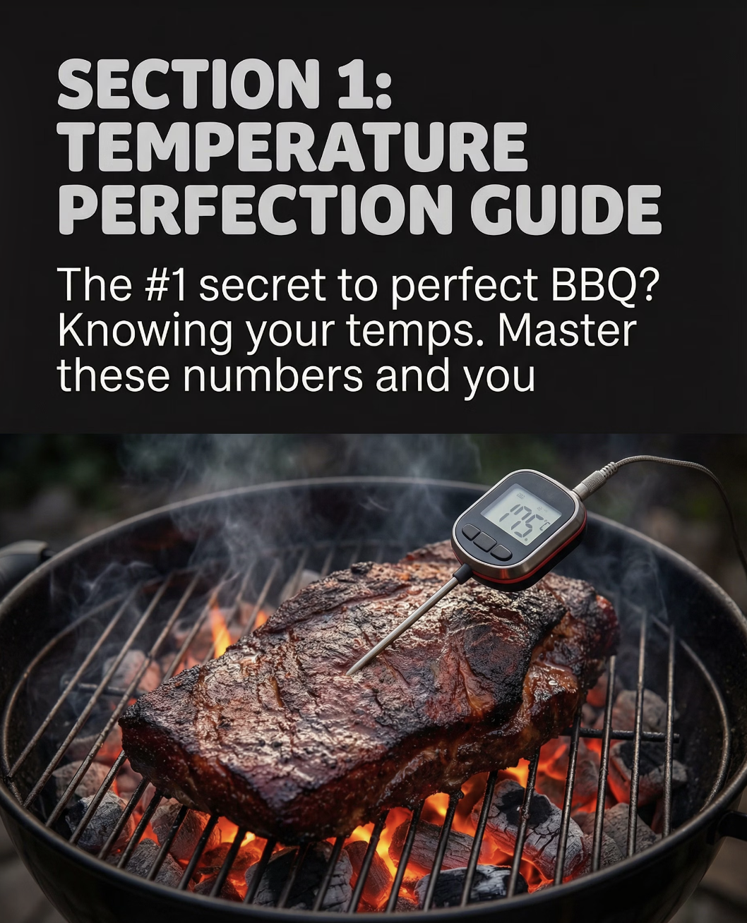 Grill Master Guide - Page 3