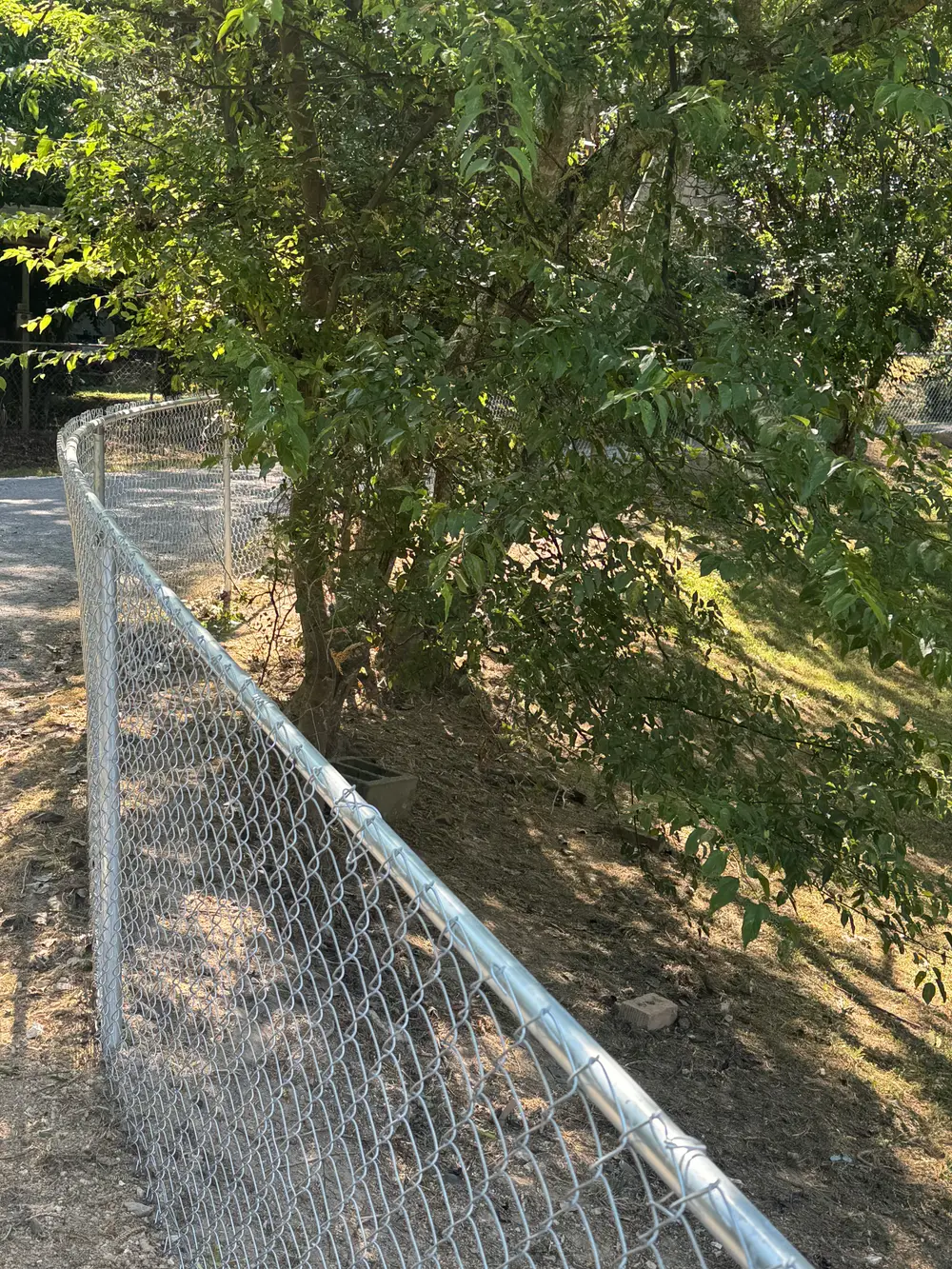 Completed Chain Link Fence Installation in Cohutta GA with neat lawn, shrubs, flowers, and clear blue sky.
