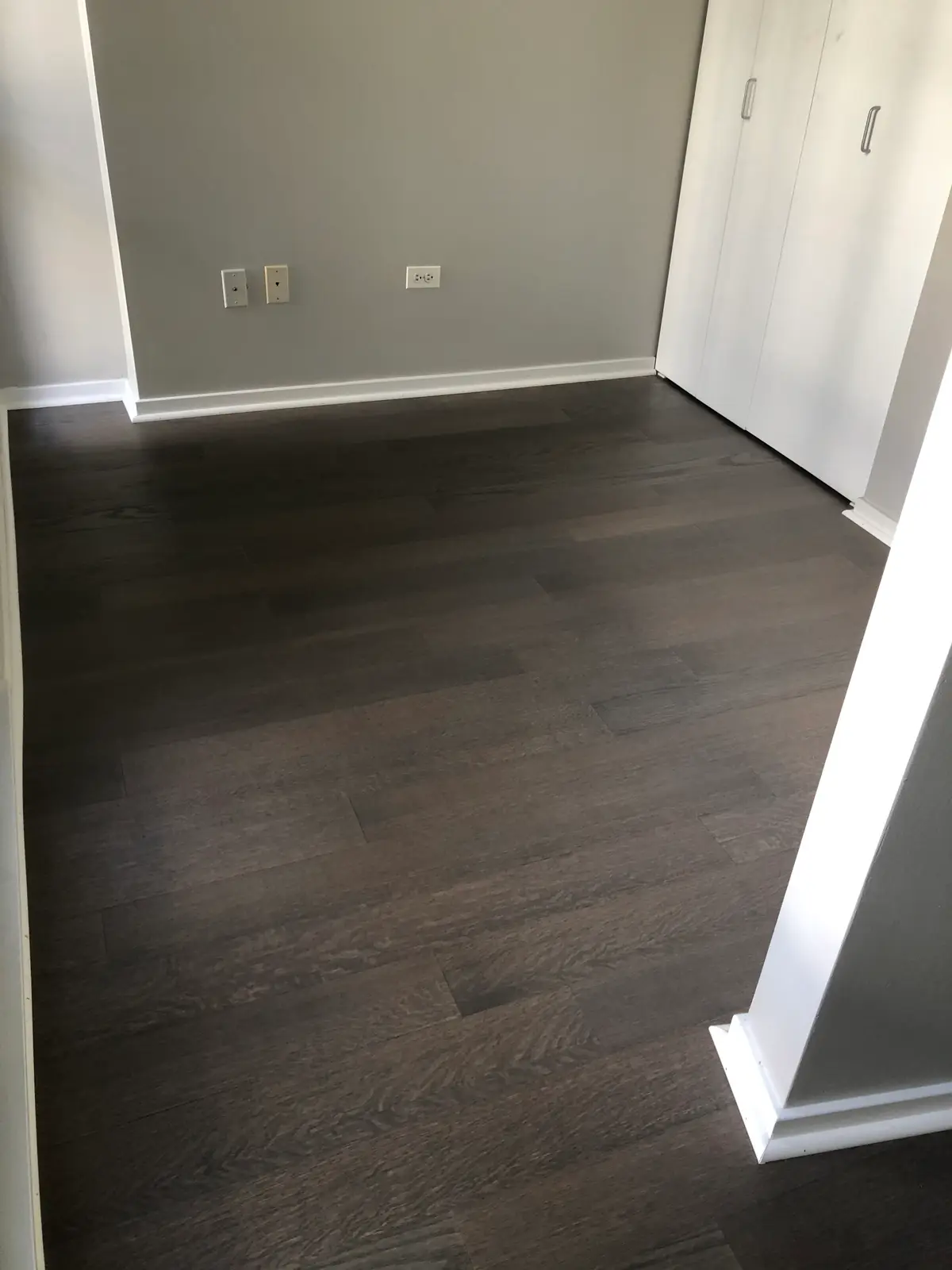 Modern room with dark hardwood floors, light grey walls, white baseboards, electrical outlets, and a white built-in closet.