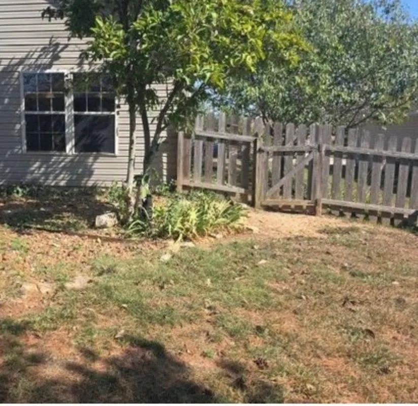 Completed wooden fence panel replacement in Columbia MO, featuring natural grain, smooth finish, and vibrant landscaping.
