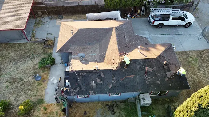 Freshly installed residential asphalt shingle roof in Modesto CA with detailed texture, lush lawns, and clear blue sky