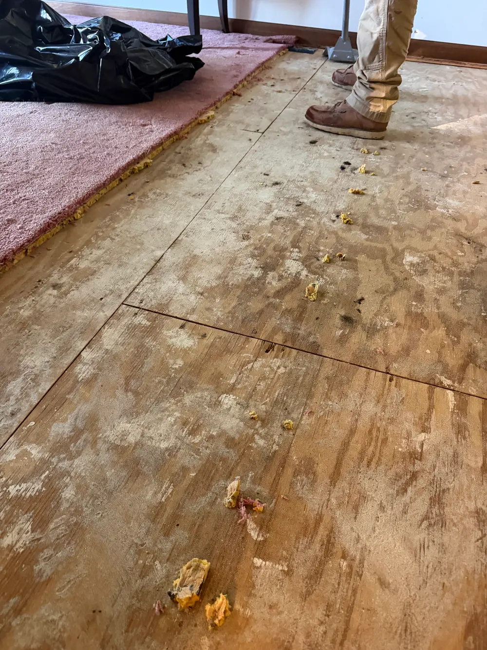 Renovation scene: A person on a dusty plywood subfloor next to pulled-back pink carpet and padding, with scattered debris.