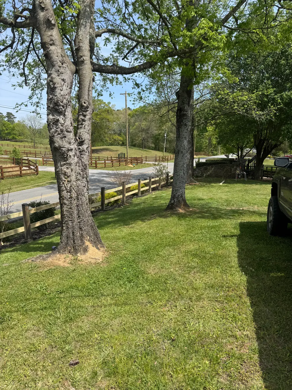 Wooden fence in Cohutta GA surrounded by greenery, sunlight filtering through leaves and clear blue sky.