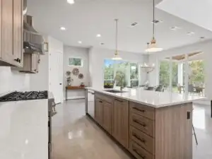 Renovated Austin custom kitchen with modern matte cabinetry, stainless steel appliances, quartz countertops, large island, and city views