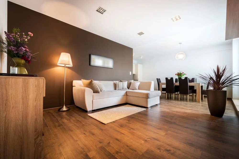 Inviting modern open-plan living room and dining area featuring a brown accent wall, light sectional, and wood floors.