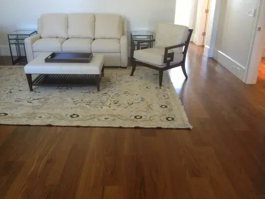 Modern living room with polished hardwood flooring, subtle area rug, and natural light enhancing elegant decor.