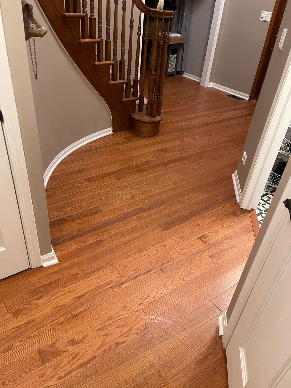 Flooring options showcased in a modern home interior in Naperville, IL.