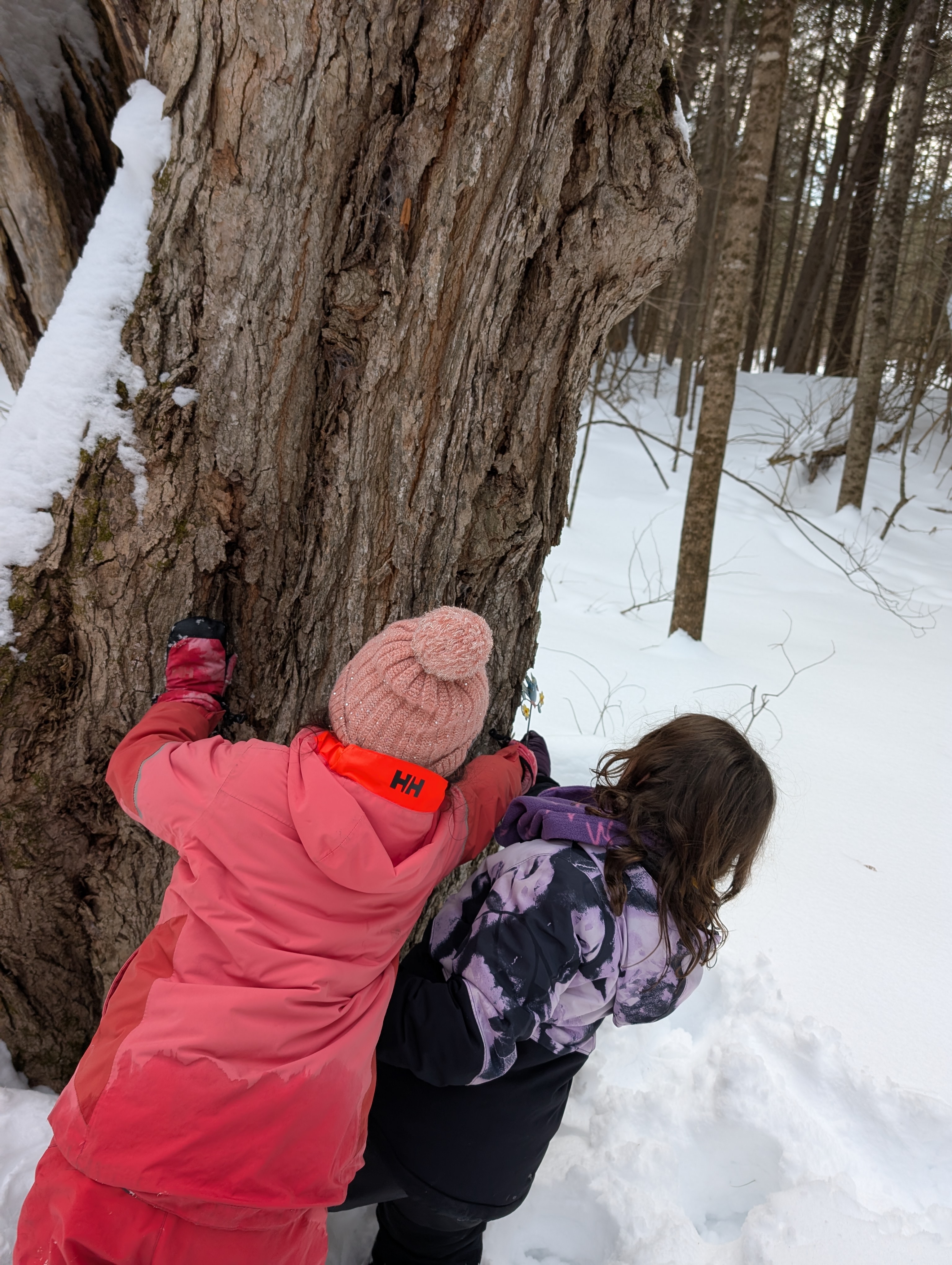 Children learning to work together
