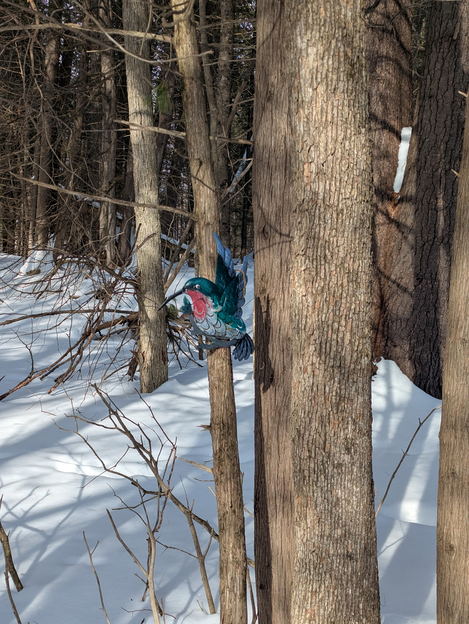 Hands on project based learning for children