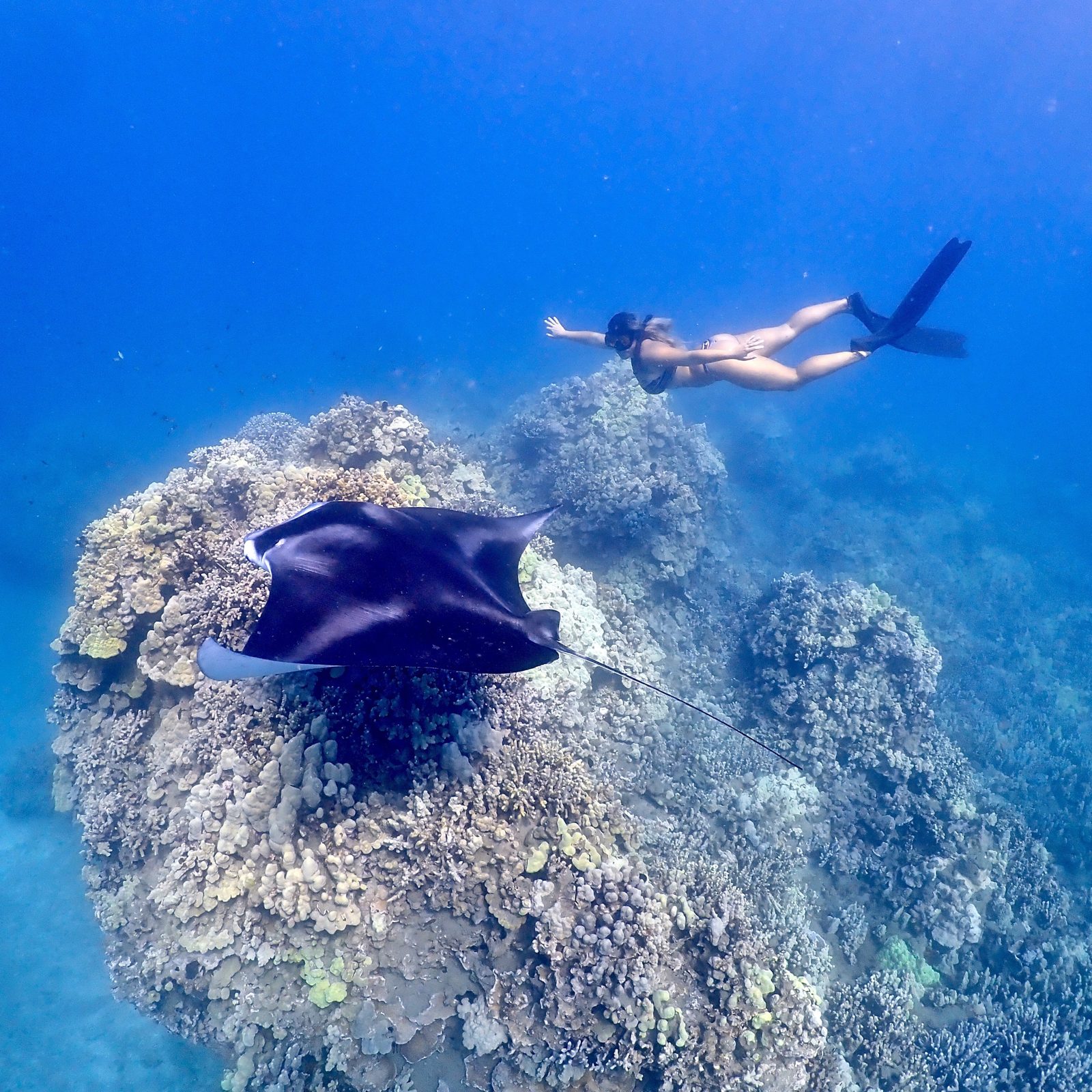 My Guy in Maui gallery photo 1