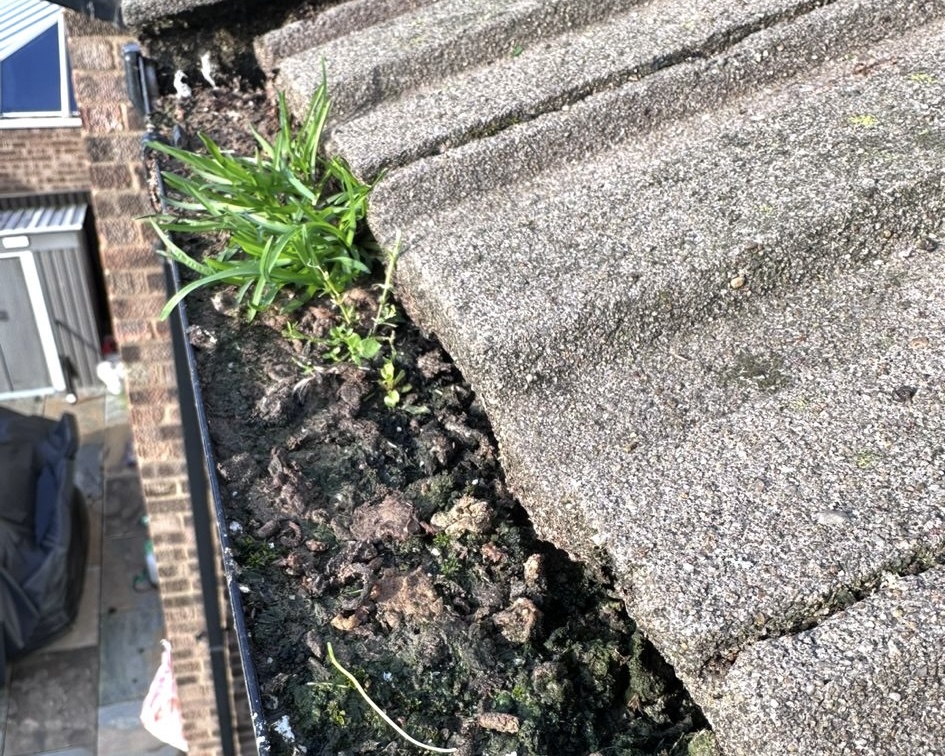 romford gutter cleaning before