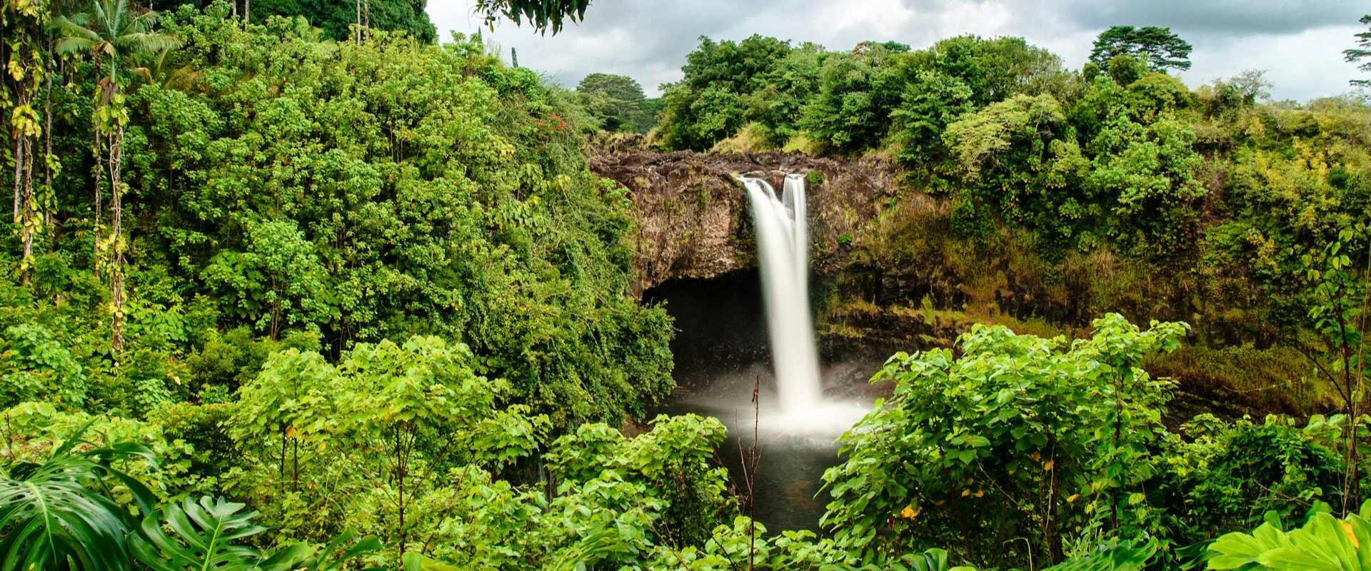 Hawaiian rainforest representing sacred land and vibrational healing