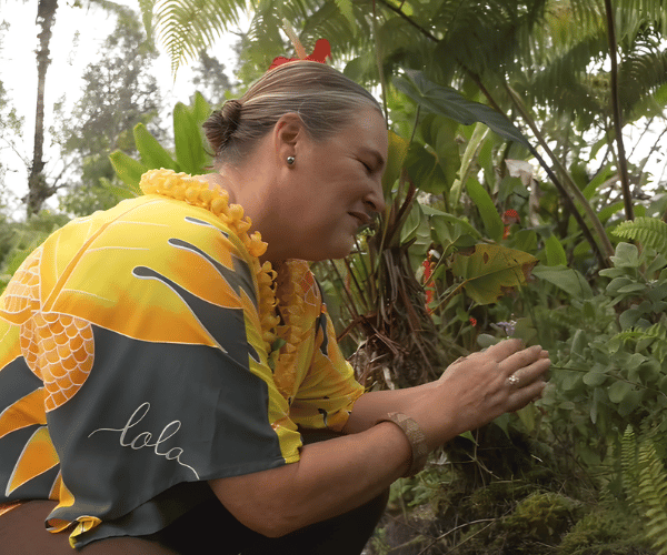 Volcanic soil and ʻŌhiʻa Lehua flowers showing resilience and rebirth in Hawaiian healing.