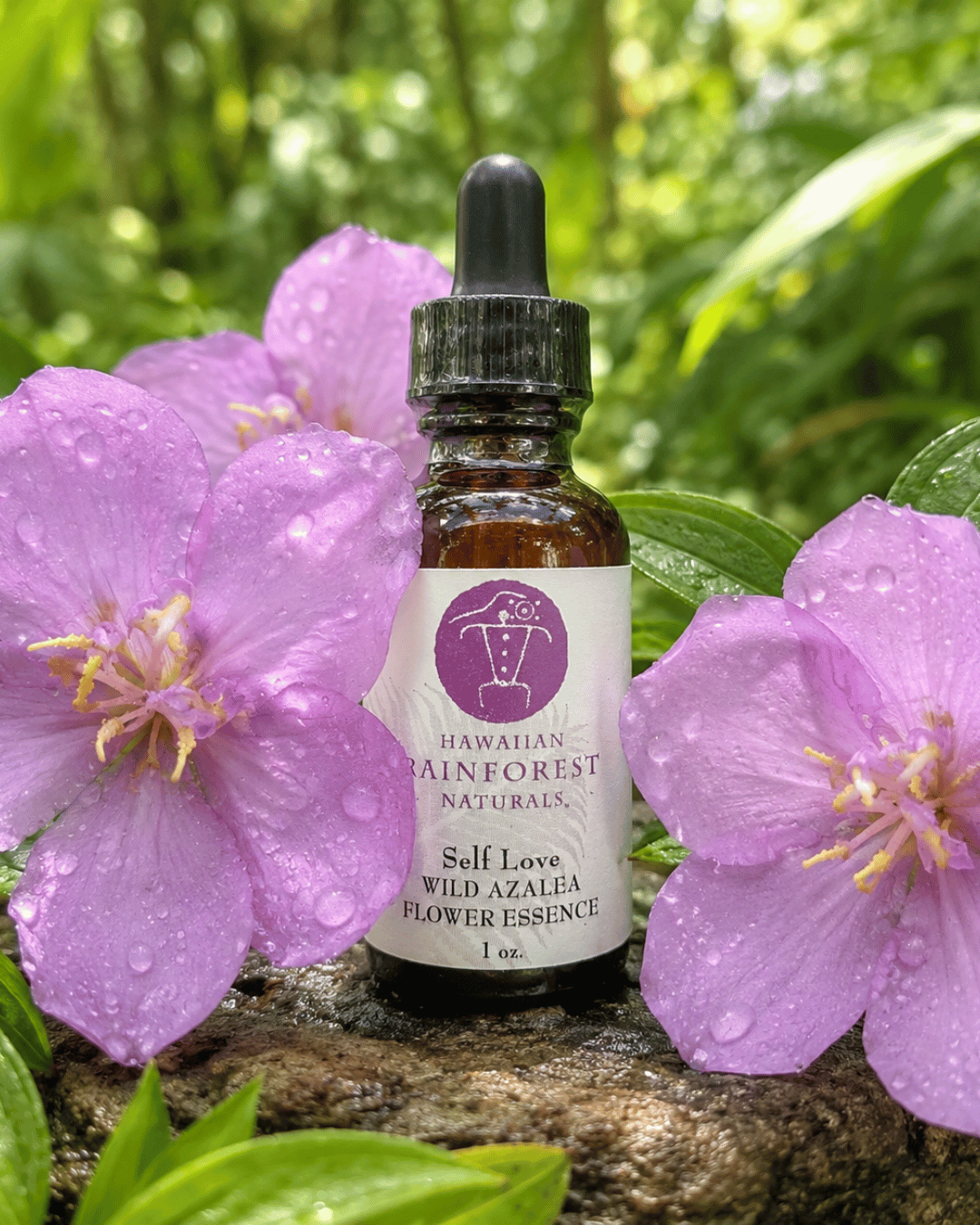 Wild Azalea Self Love Flower Essence bottle — Hawaiian Rainforest Naturals