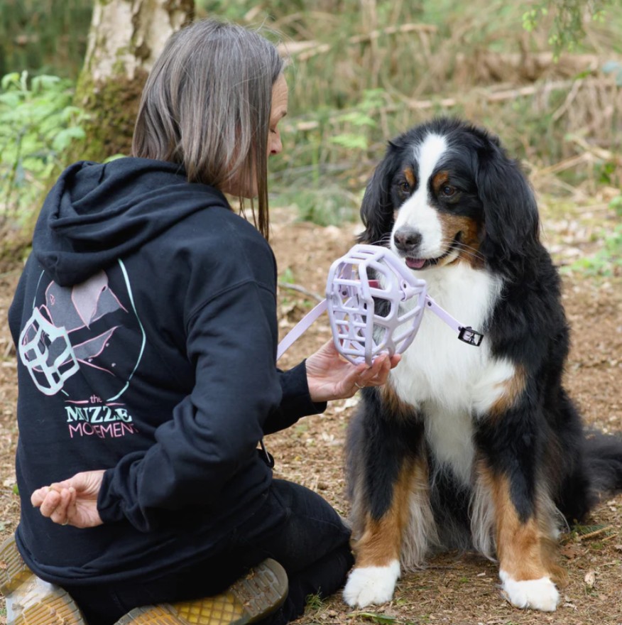 Positive Muzzle Training Positive Muzzle Training