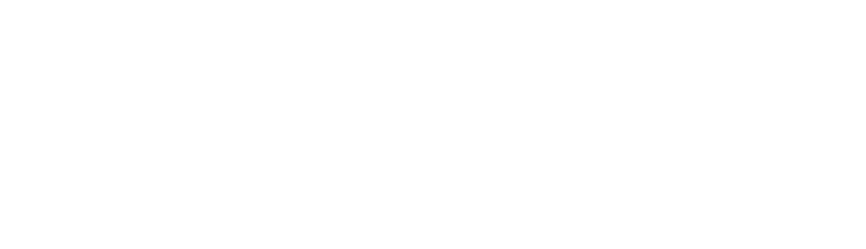 Body Systems Wellness — Integrative Medicine