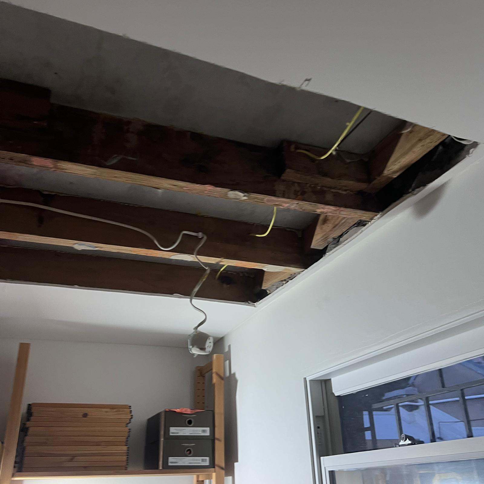 Ceiling cavity exposed during mould restoration