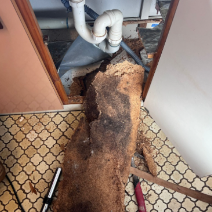 Mould damaged cabinet shelf removed