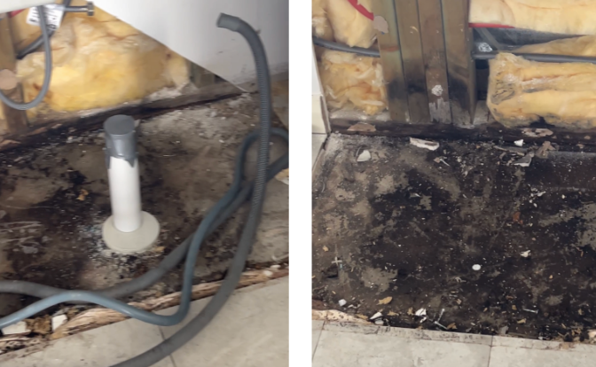 Hidden Mould Under Kitchen Cabinet