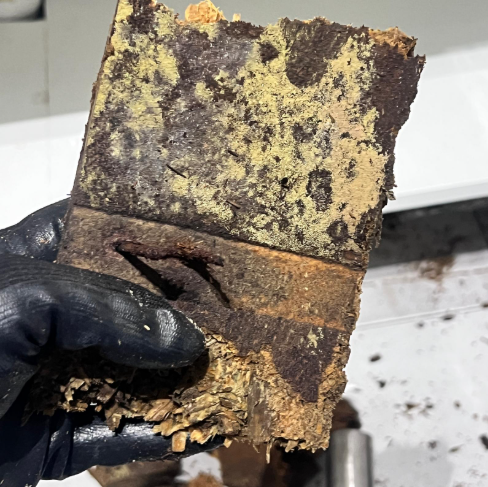 Mould Contaminated Cabinet Board Removal