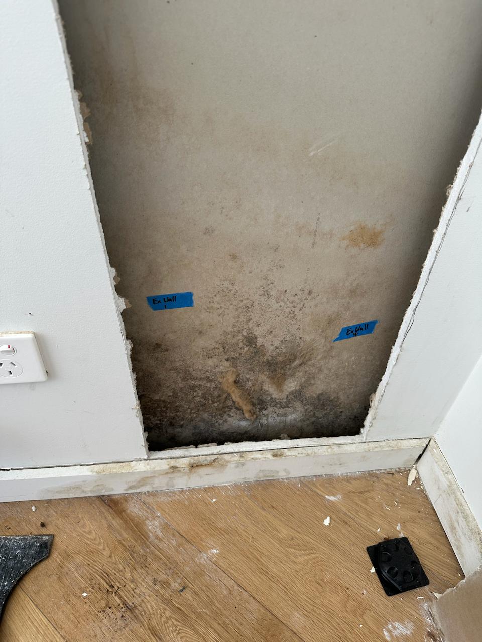 Hidden mould growth inside wall cavity with severe contamination on gyprock along external wall in Gladesville NSW