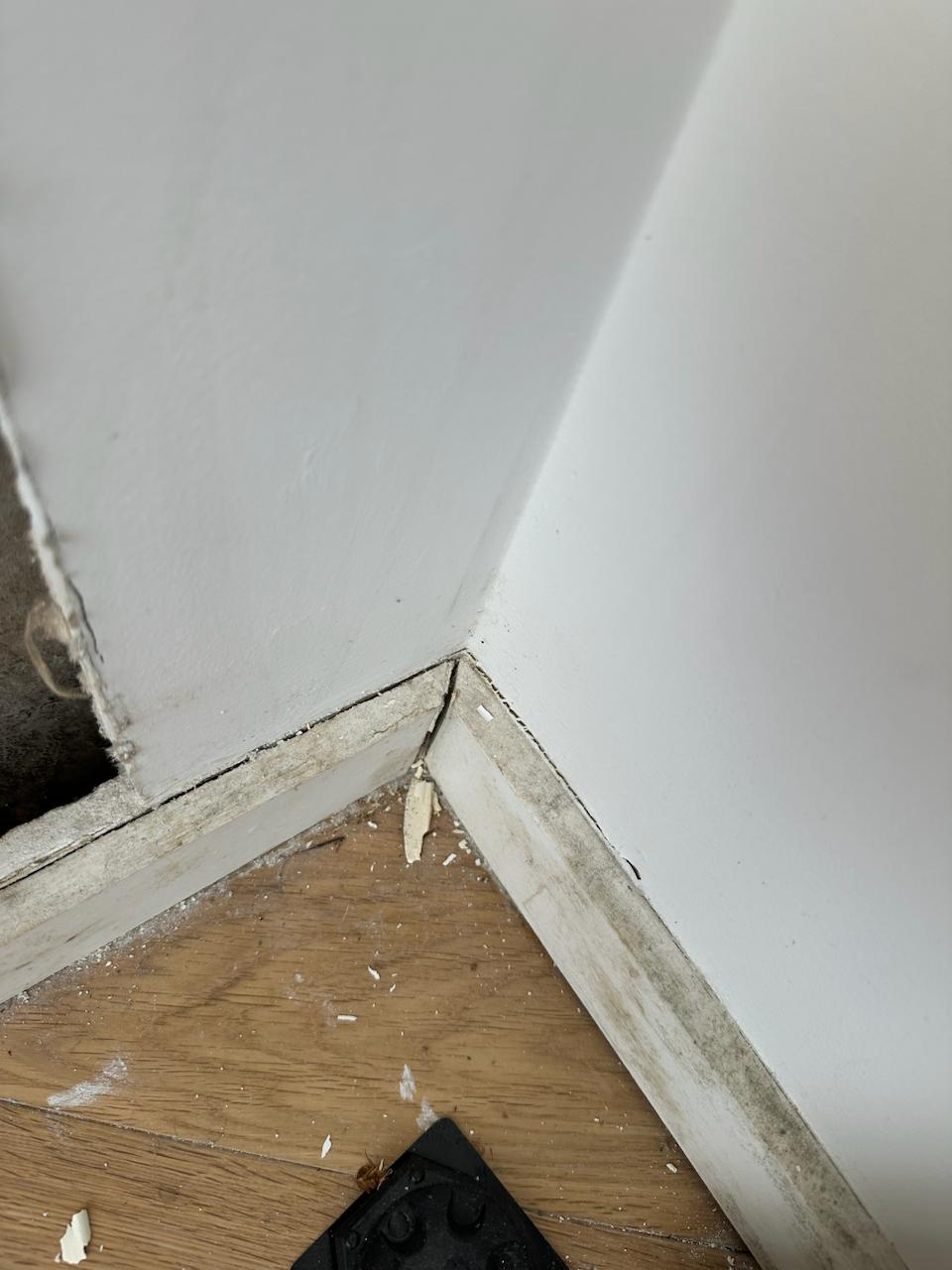 Room affected by hidden mould along external wall prior to professional mould remediation in Gladesville NSW