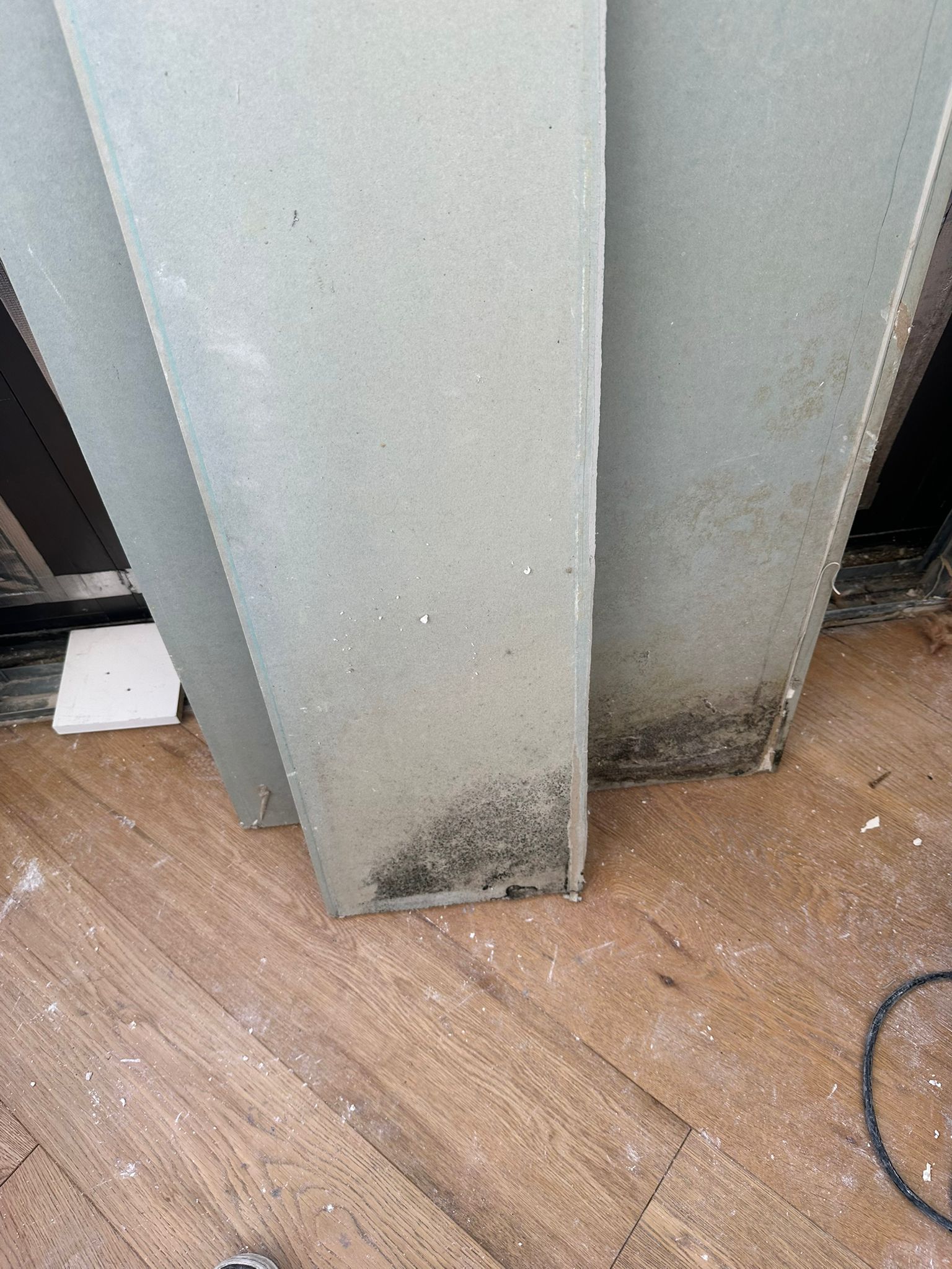 Mould contamination on removed gyprock panels showing heavy growth at lower sections from previous moisture damage