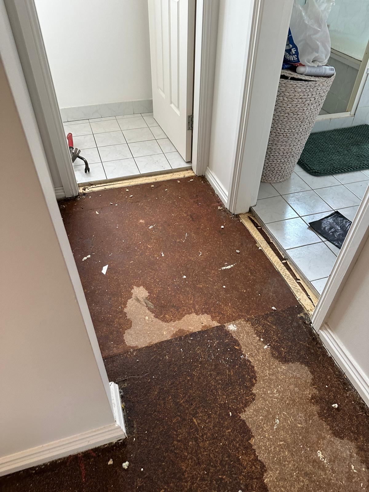 Water-Damaged Subfloor After Leak – Oyster Bay NSW