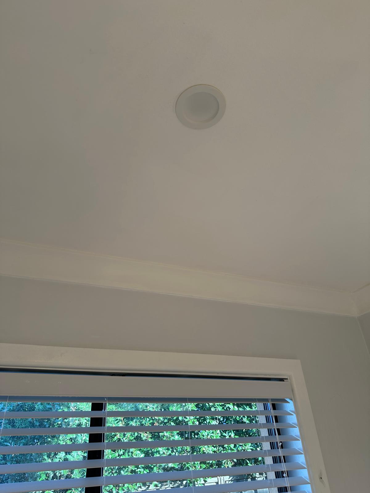 Bathroom ceiling mould removal and antimicrobial treatment completed in Blacktown NSW.