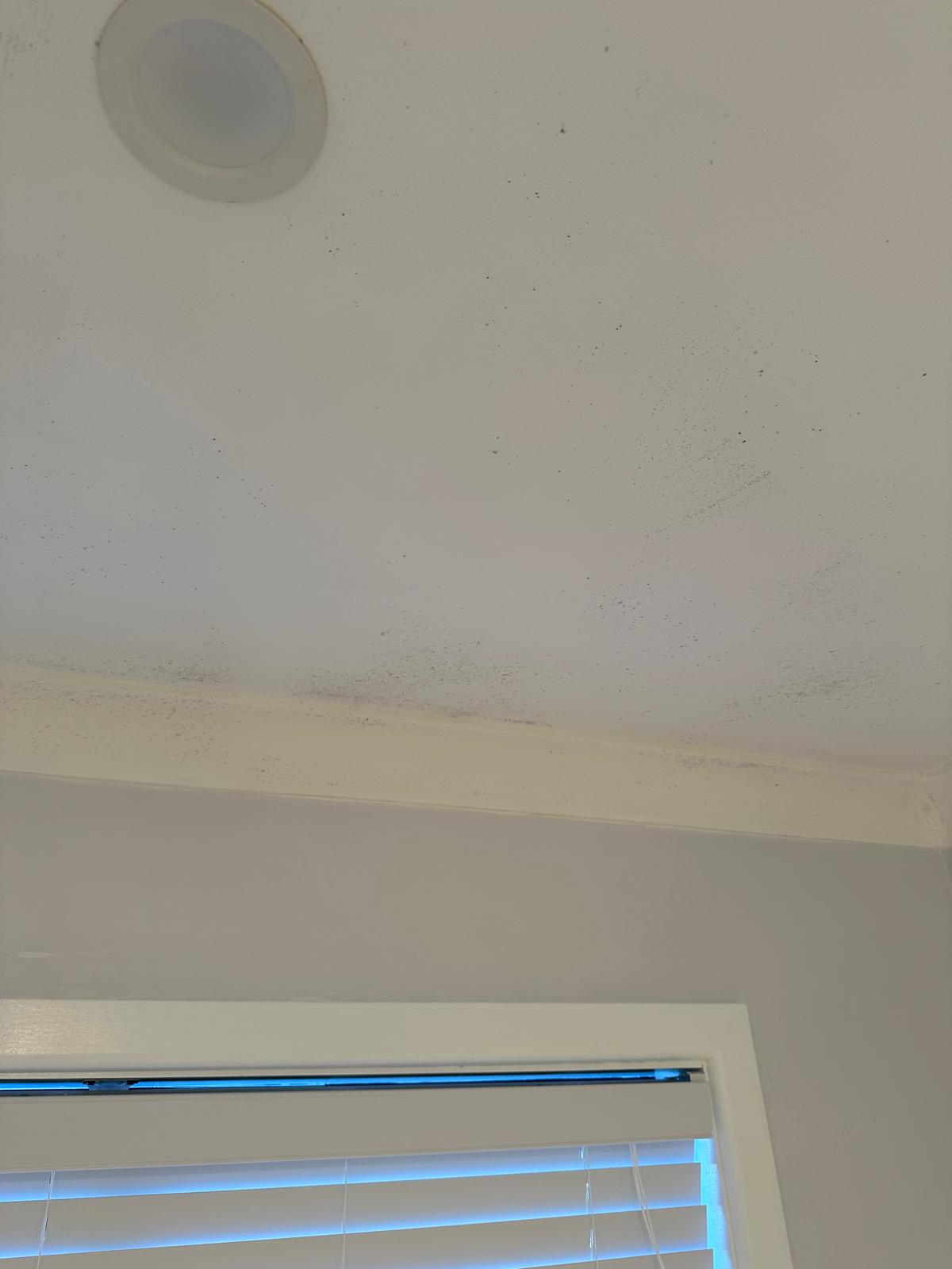 Bathroom ceiling mould removal and antimicrobial treatment completed in Blacktown NSW.