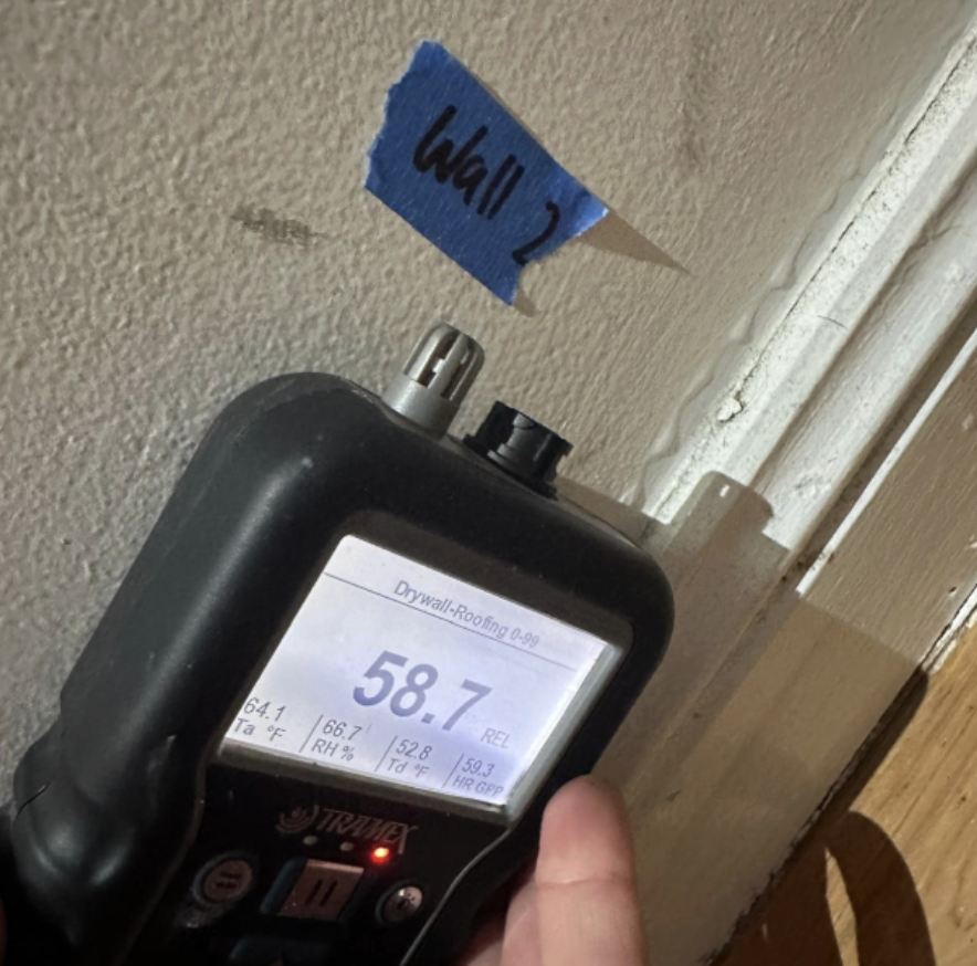 echnician recording moisture readings from an internal wall during a professional moisture investigation at a residential property in Edensor Park.