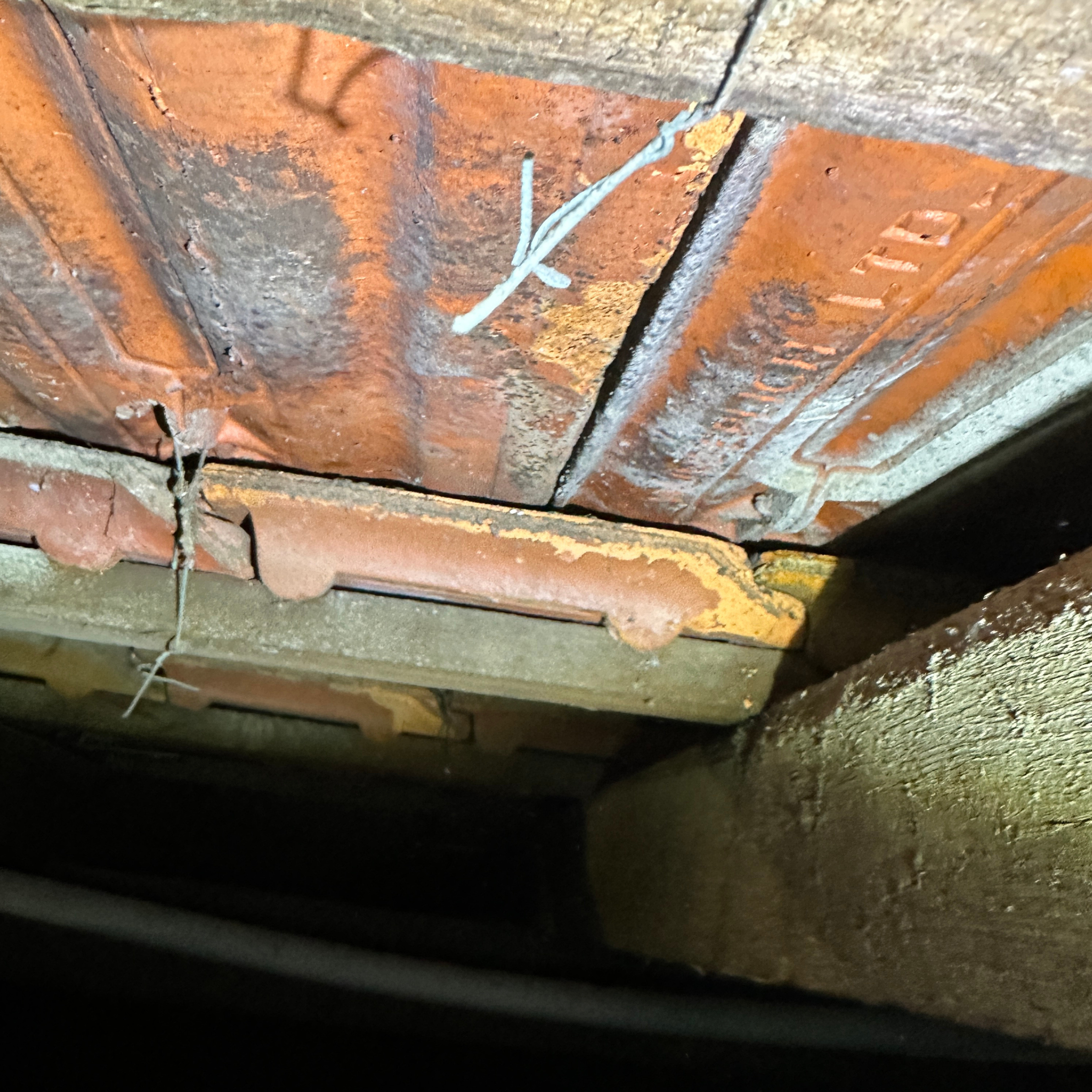 Hidden ceiling mould and moisture damage found during a mould inspection in Ryde, NSW.