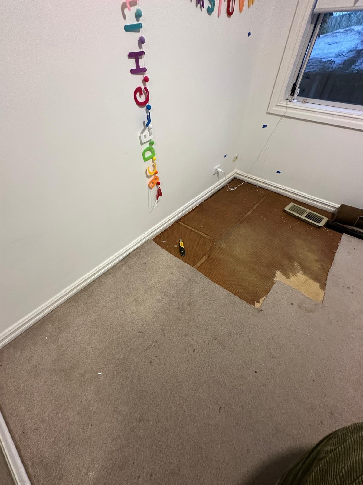 Water damage and mould restoration in Caringbah South, NSW, following a leak that caused hidden moisture to spread through carpets, rooms and building materials.