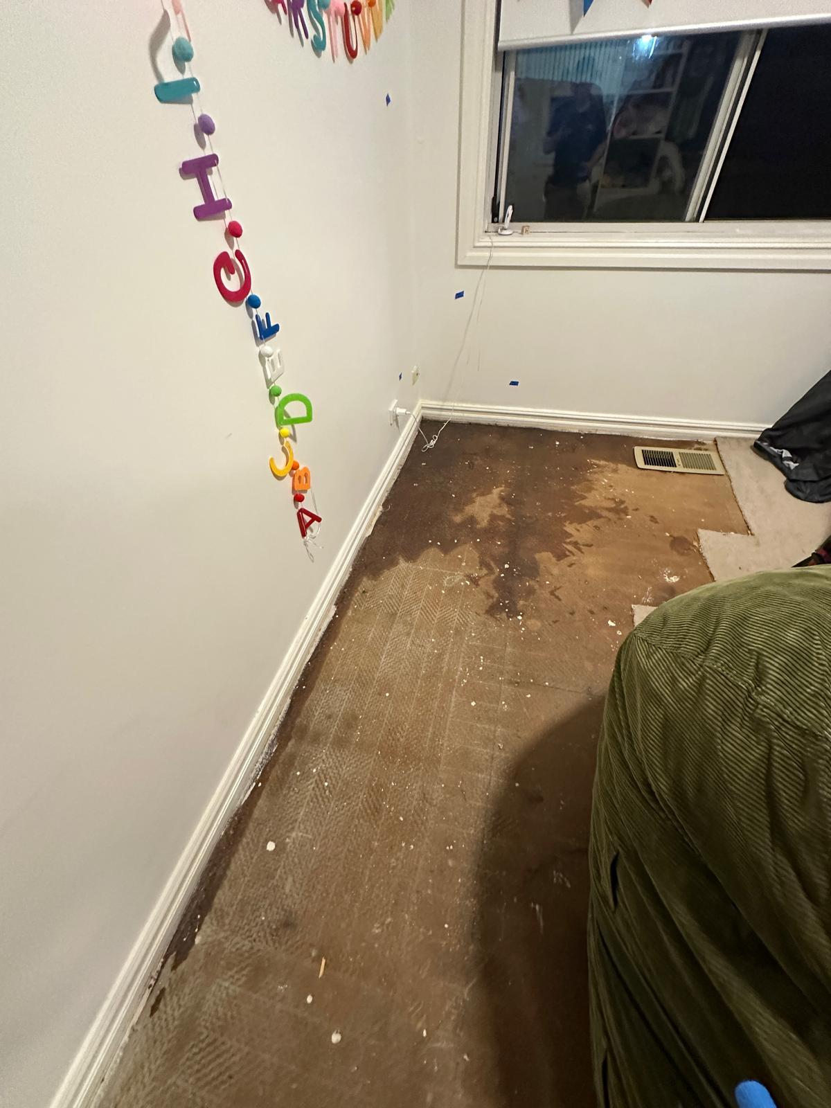 Water damage and mould restoration in Caringbah South, NSW, following a leak that caused hidden moisture to spread through carpets, rooms and building materials.