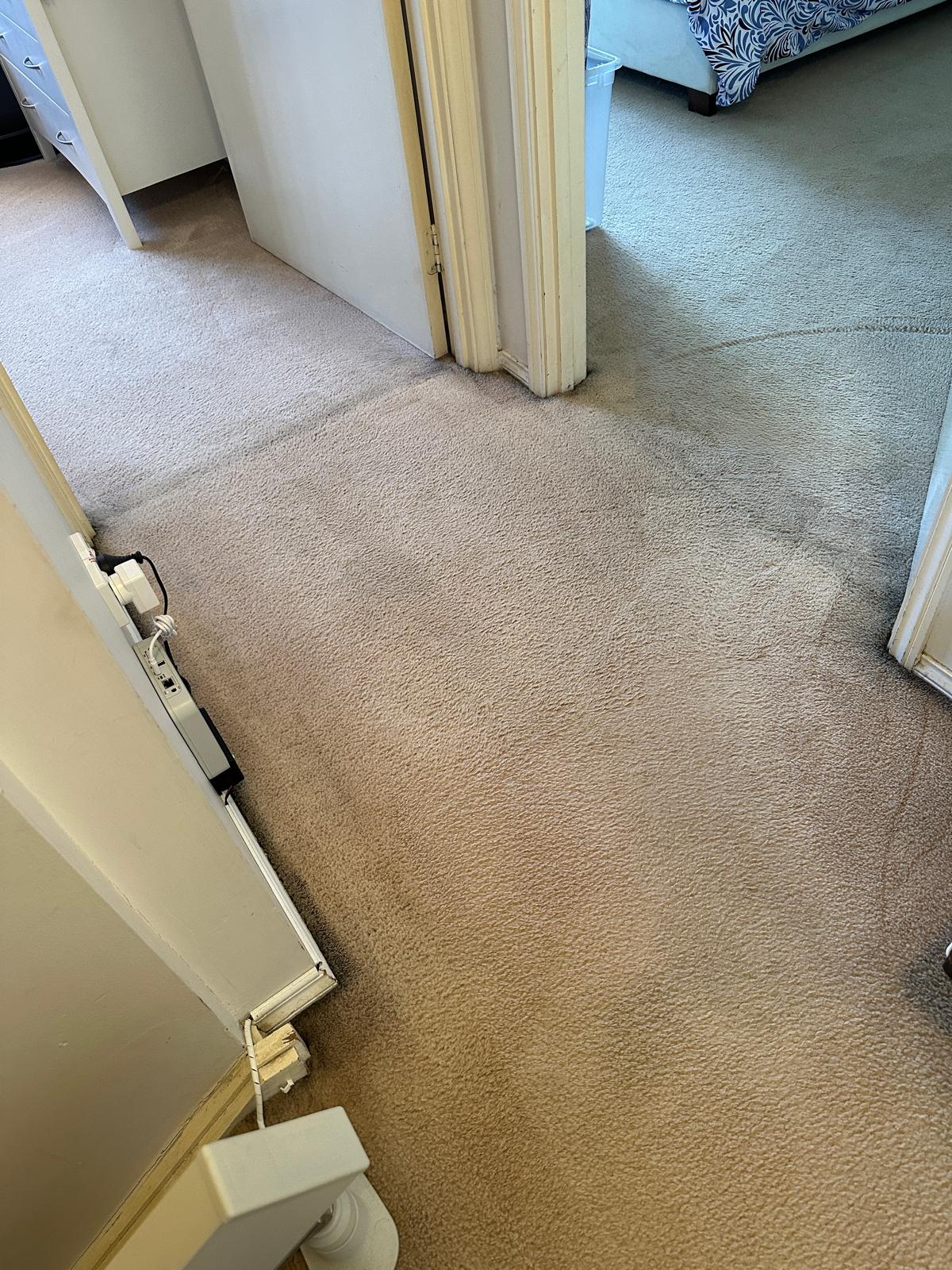 Carpet Cleaning After Water Damage Oxley Park NSW | High Demand Restoration