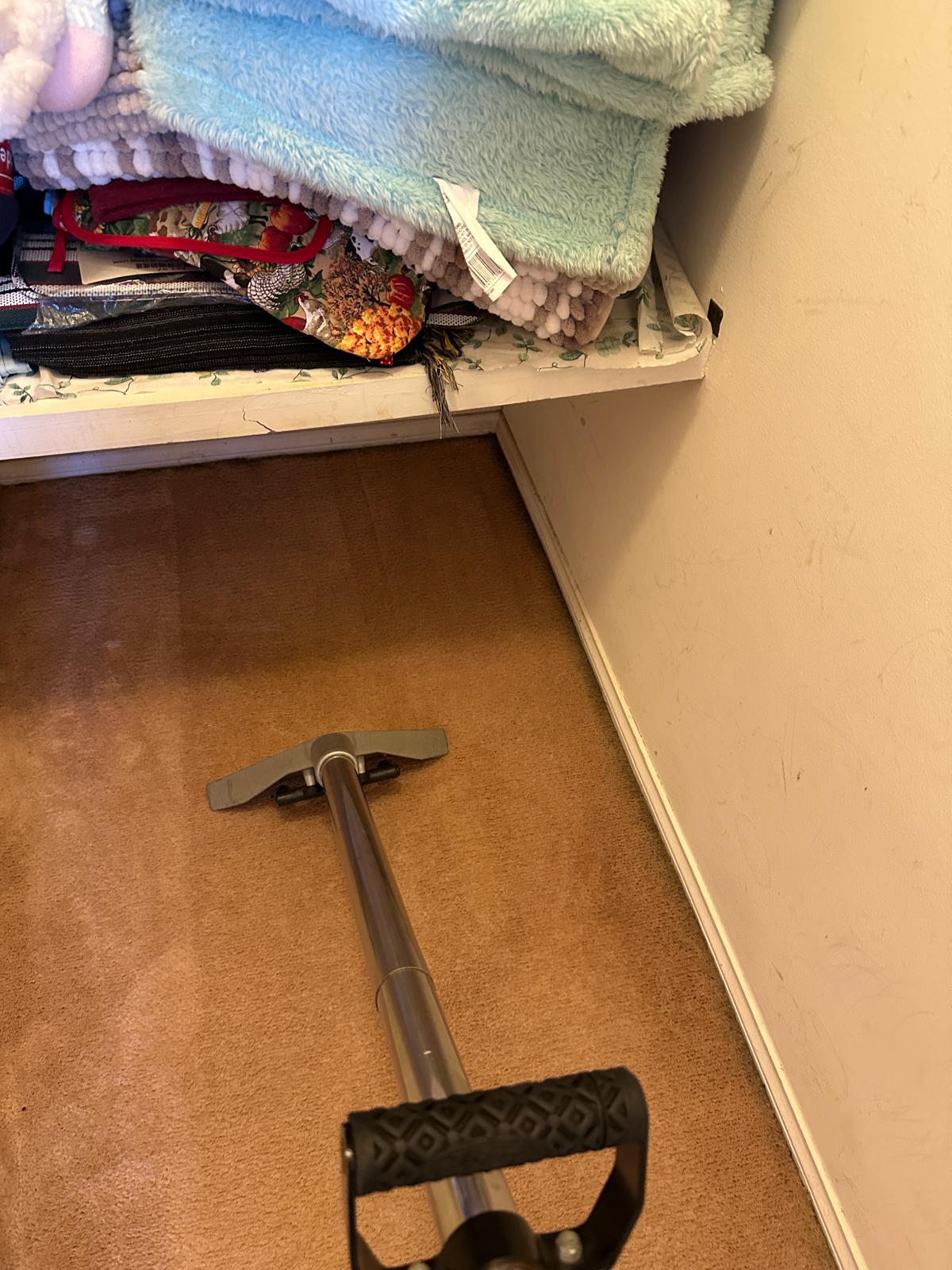 Carpet Cleaning After Water Damage Oxley Park NSW | High Demand Restoration