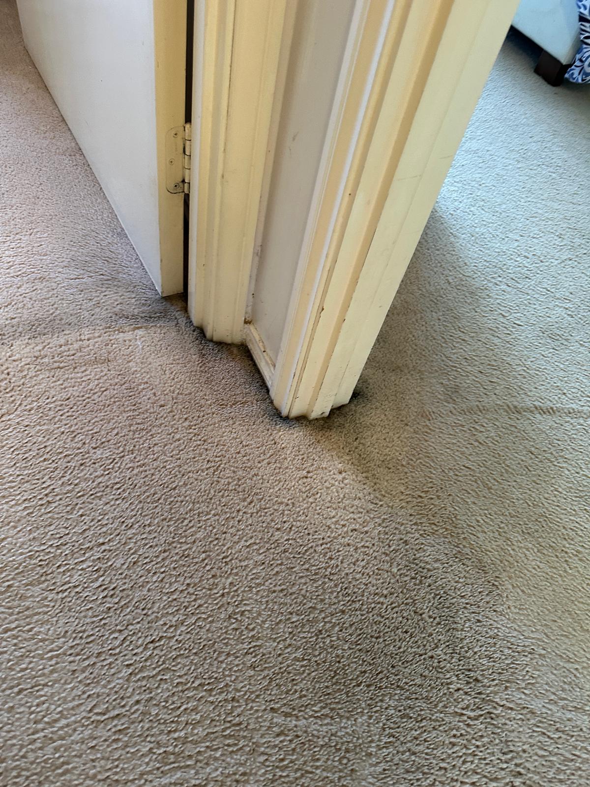 Carpet Cleaning After Water Damage Oxley Park NSW | High Demand Restoration