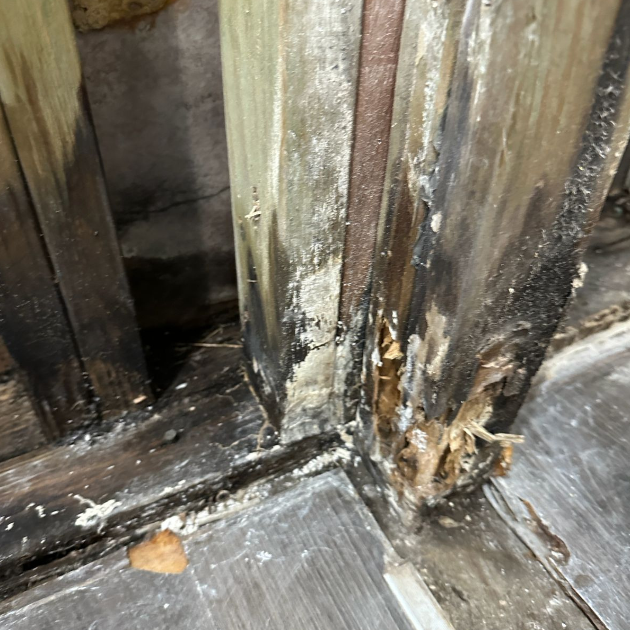Water damage spreading beyond the bathroom in Oran Park, NSW