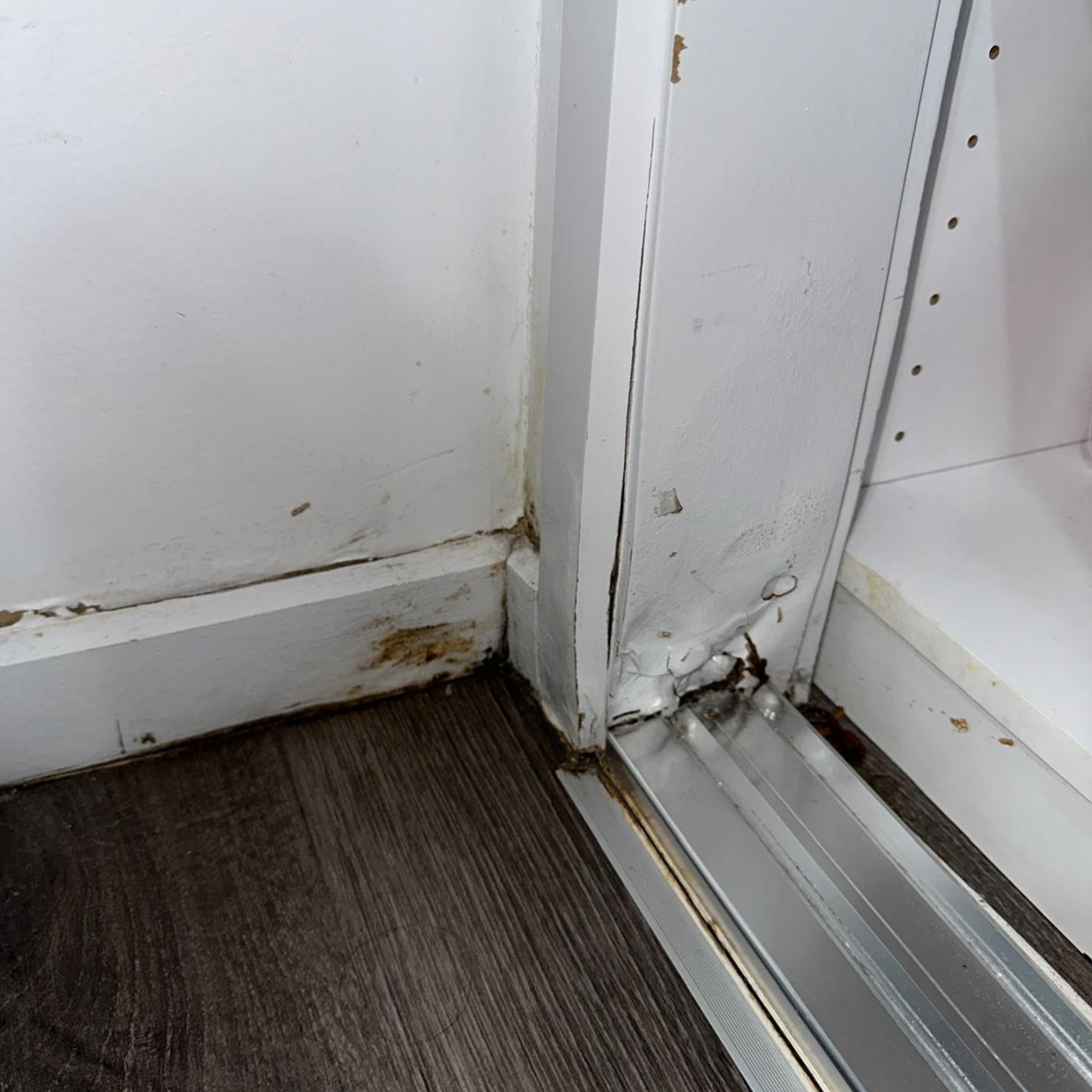 Water damage from a backflow incident in an Oran Park, NSW home