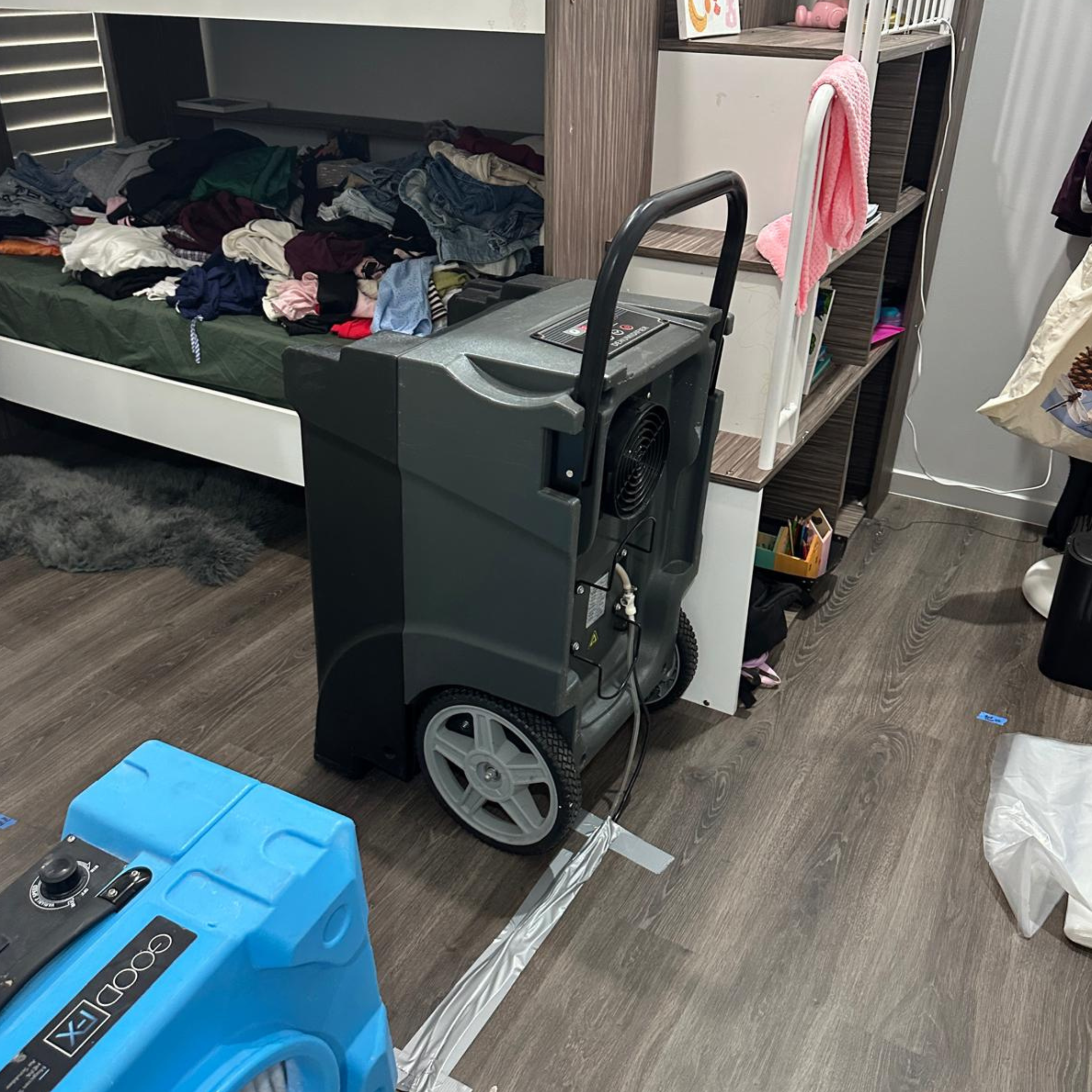 Hidden mould beneath removed flooring in Oran Park, NSW